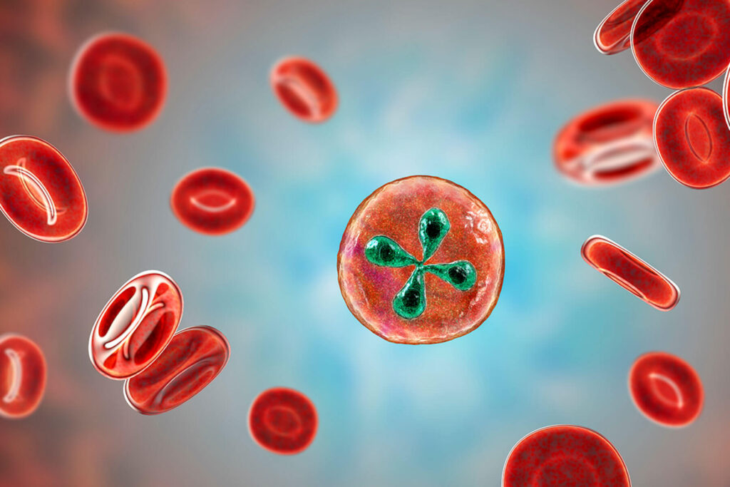 Comparison: Bartonella vs. Lyme Disease in Florida